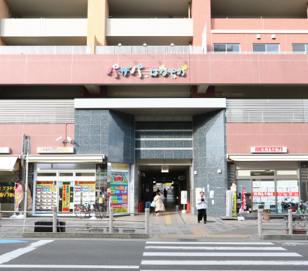 パザパはなぞの