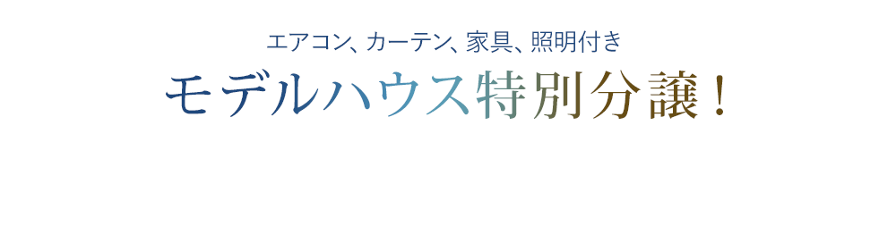 ドリームハウス八尾山城町